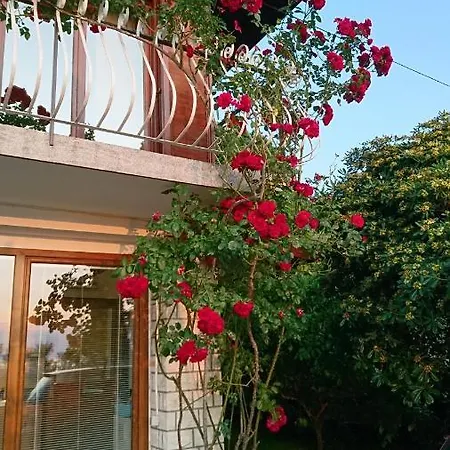 Apartma Niko Appartement