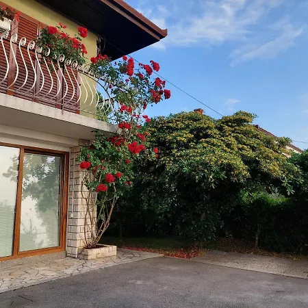 Apartma Niko Apartment Piran