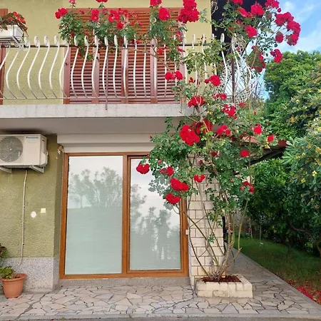 Apartma Niko Apartmán *