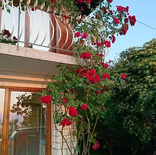 Apartma Niko דירה