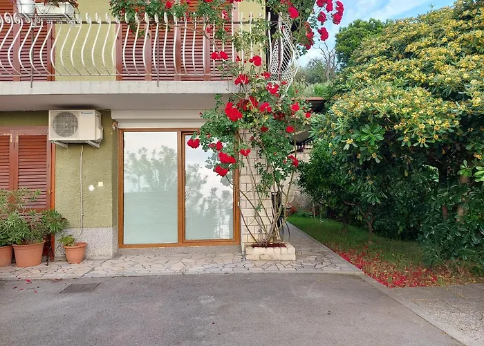 Apartma Niko 아파트 피란