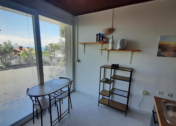 Apartma Niko פיראן